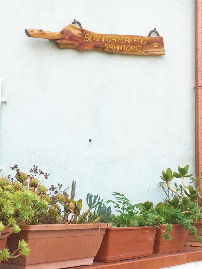 Bed And Breakfast Da Antonio - Orgosolo Exterior foto